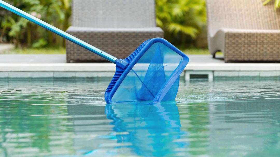 limpiando la piscina con la ayuda de una red
